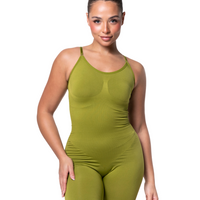 Sculpting Shapewear Bodysuit